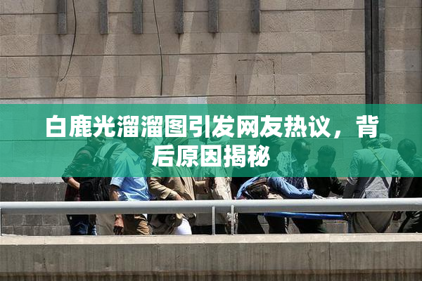 白鹿光溜溜图引发网友热议，背后原因揭秘