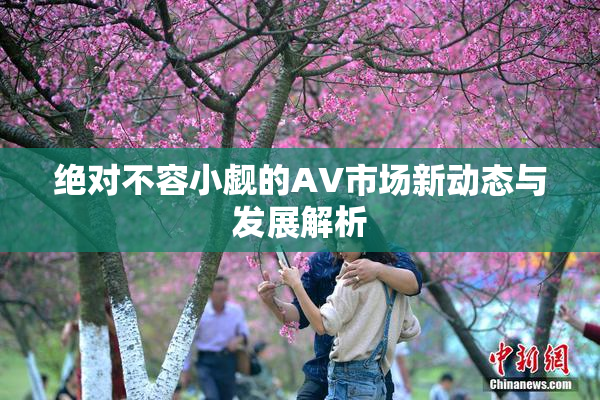 绝对不容小觑的AV市场新动态与发展解析