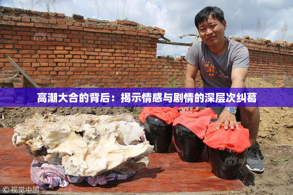 高潮大合的背后：揭示情感与剧情的深层次纠葛