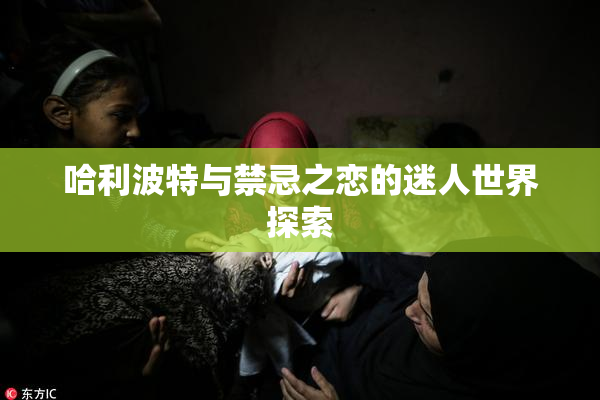 哈利波特与禁忌之恋的迷人世界探索