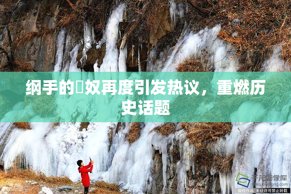 纲手的婬奴再度引发热议，重燃历史话题