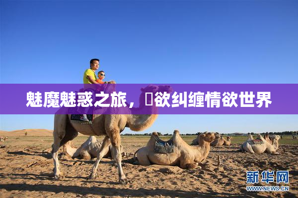 魅魔魅惑之旅，婬欲纠缠情欲世界