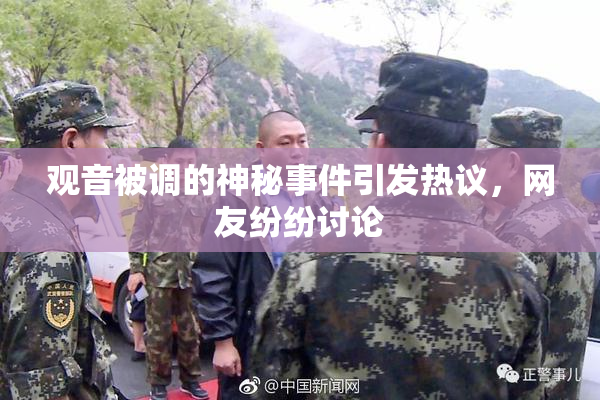 观音被调的神秘事件引发热议，网友纷纷讨论