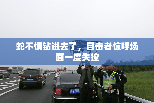 蛇不慎钻进去了，目击者惊呼场面一度失控