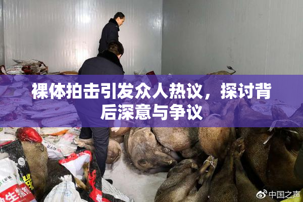 裸体拍击引发众人热议，探讨背后深意与争议