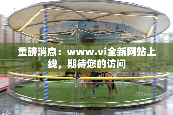 重磅消息：www.vi全新网站上线，期待您的访问
