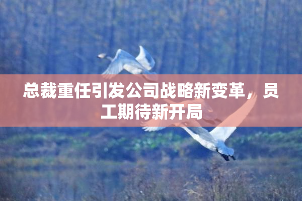 总裁重任引发公司战略新变革，员工期待新开局