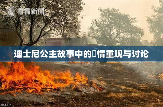 迪士尼公主故事中的婬情重现与讨论
