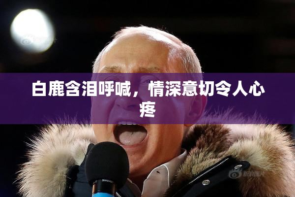 白鹿含泪呼喊，情深意切令人心疼