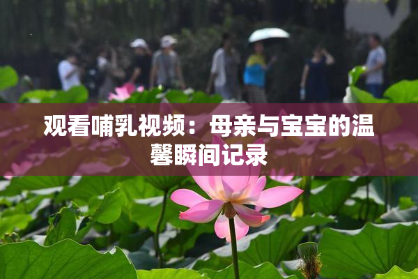 观看哺乳视频：母亲与宝宝的温馨瞬间记录