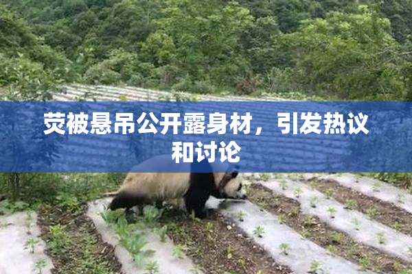 荧被悬吊公开露身材，引发热议和讨论