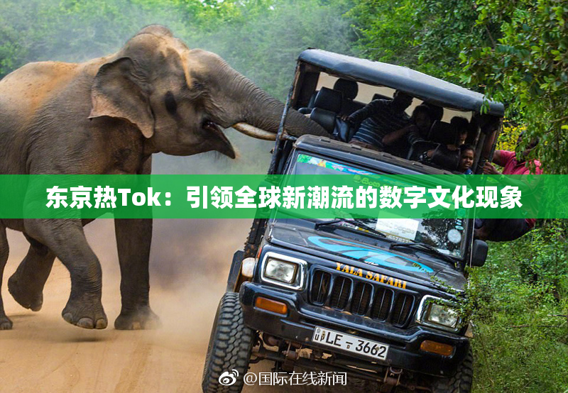 东京热Tok：引领全球新潮流的数字文化现象