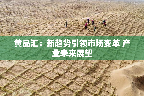 黄品汇：新趋势引领市场变革 产业未来展望