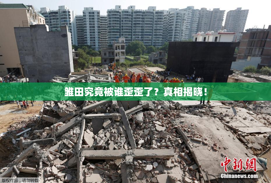 雏田究竟被谁歪歪了？真相揭晓！