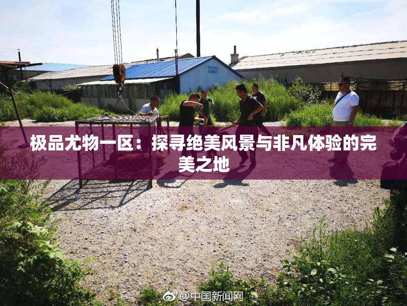 极品尤物一区：探寻绝美风景与非凡体验的完美之地