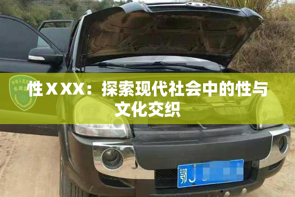 性ⅩXX：探索现代社会中的性与文化交织