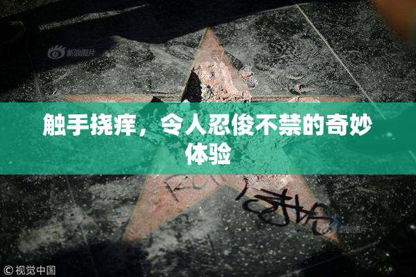 触手挠痒，令人忍俊不禁的奇妙体验