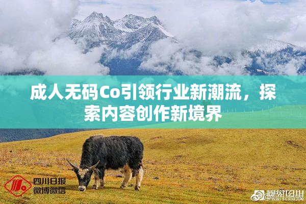 成人无码Co引领行业新潮流，探索内容创作新境界