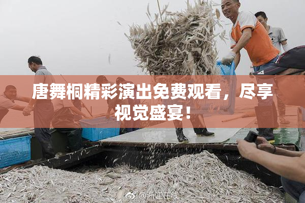 唐舞桐精彩演出免费观看，尽享视觉盛宴！