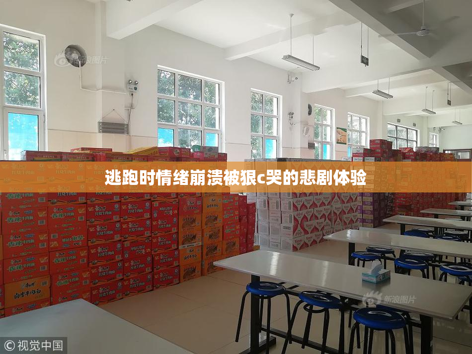 逃跑时情绪崩溃被狠c哭的悲剧体验