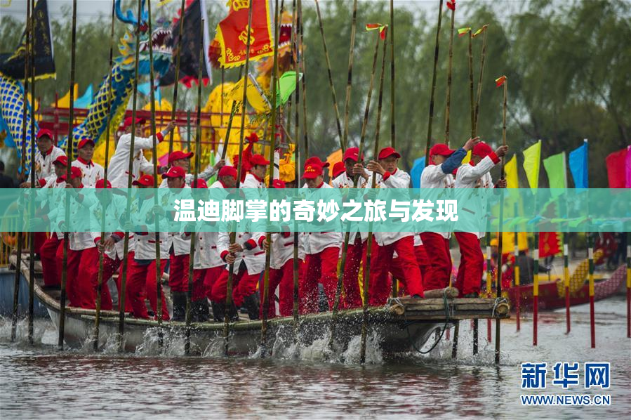 温迪脚掌的奇妙之旅与发现