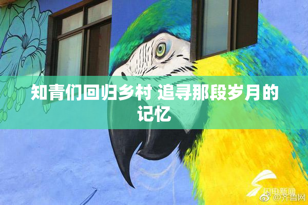 知青们回归乡村 追寻那段岁月的记忆
