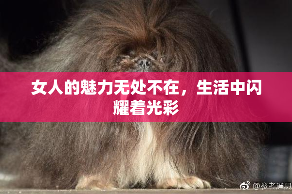 女人的魅力无处不在，生活中闪耀着光彩