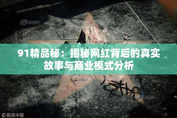 91精品秘：揭秘网红背后的真实故事与商业模式分析