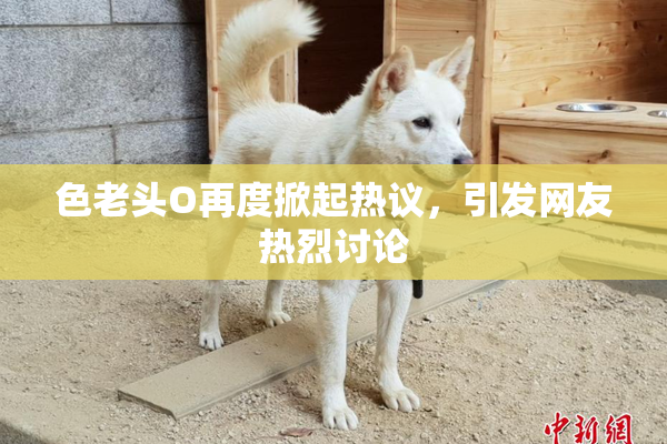 色老头O再度掀起热议，引发网友热烈讨论