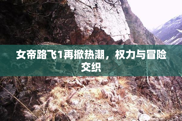 女帝路飞1再掀热潮，权力与冒险交织