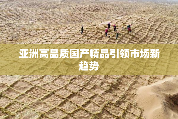 亚洲高品质国产精品引领市场新趋势