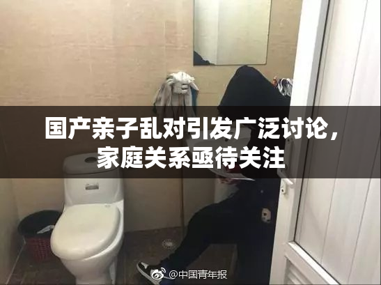 国产亲子乱对引发广泛讨论，家庭关系亟待关注