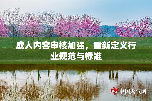 成人内容审核加强，重新定义行业规范与标准