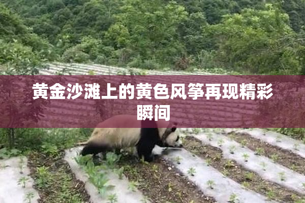 黄金沙滩上的黄色风筝再现精彩瞬间