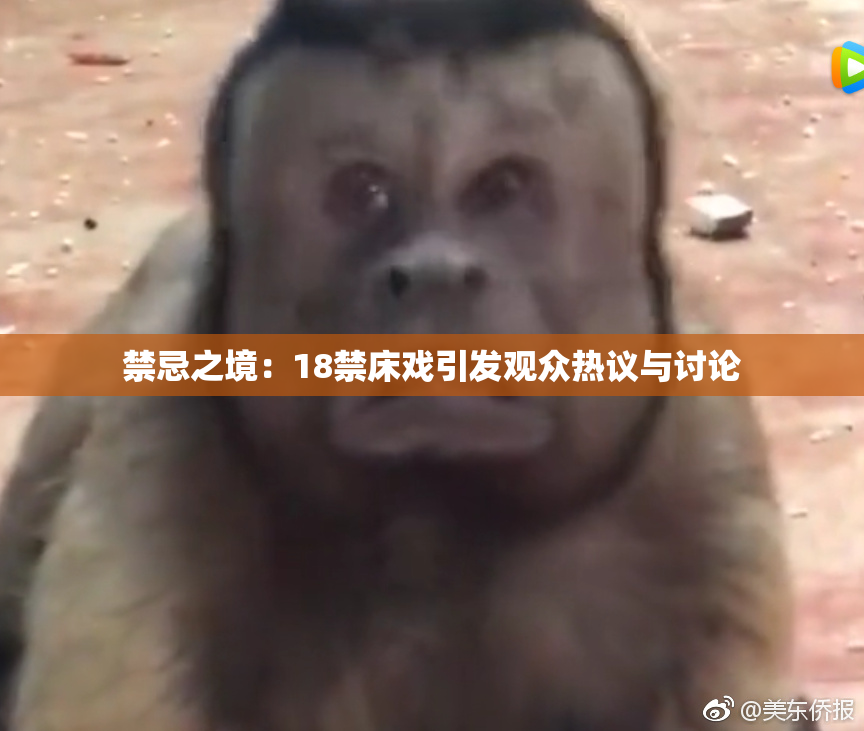 禁忌之境：18禁床戏引发观众热议与讨论