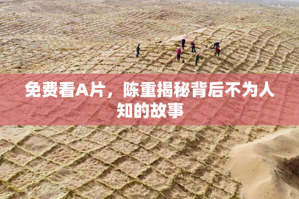 免费看A片，陈重揭秘背后不为人知的故事