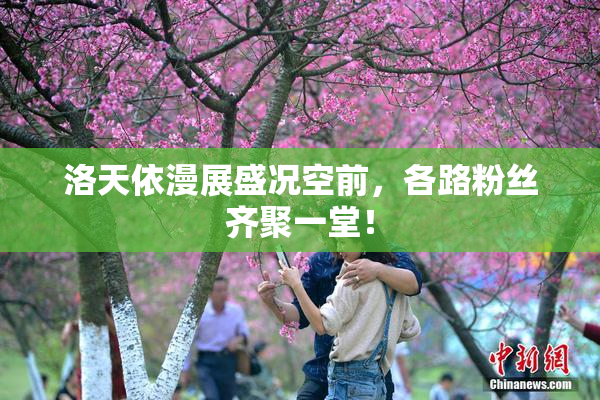 洛天依漫展盛况空前，各路粉丝齐聚一堂！
