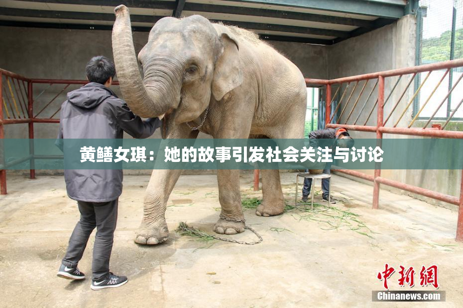 黄鳝女琪：她的故事引发社会关注与讨论