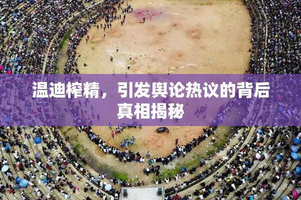 温迪榨精，引发舆论热议的背后真相揭秘