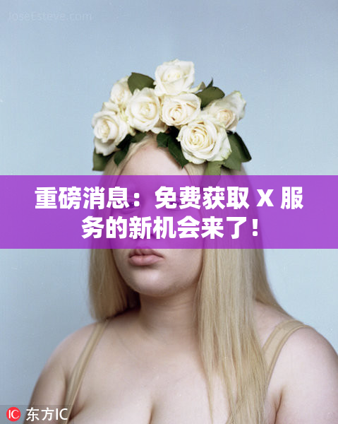 重磅消息：免费获取 X 服务的新机会来了！