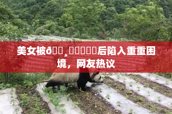 美女被🌸‌❌‌❌‌后陷入重重困境，网友热议