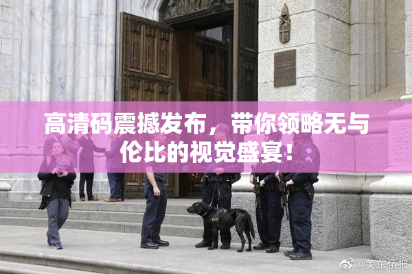 高清码震撼发布，带你领略无与伦比的视觉盛宴！