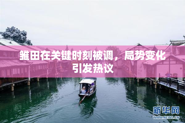 雏田在关键时刻被调，局势变化引发热议