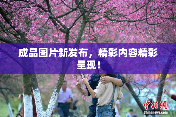 成品图片新发布，精彩内容精彩呈现！