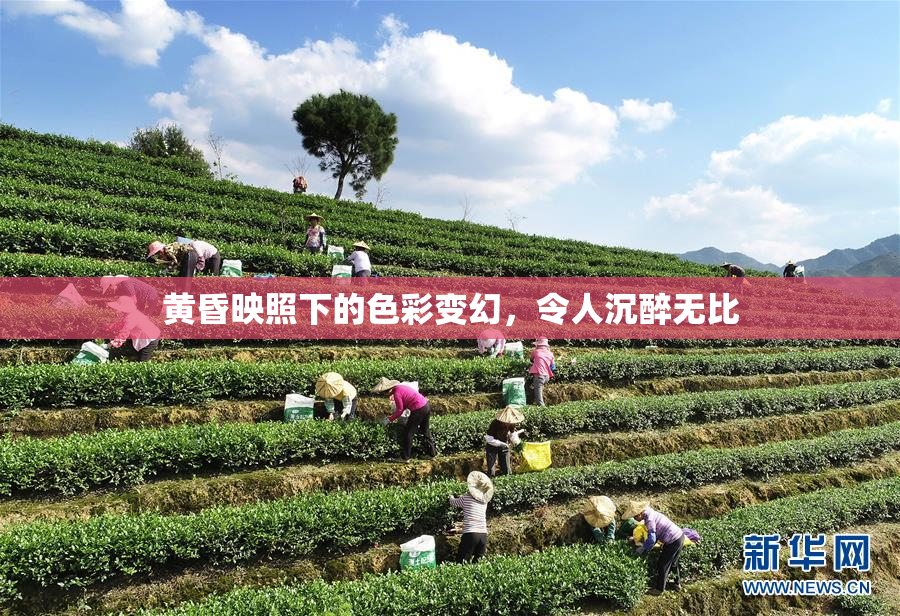 黄昏映照下的色彩变幻，令人沉醉无比