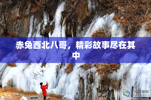 赤兔西北八哥，精彩故事尽在其中