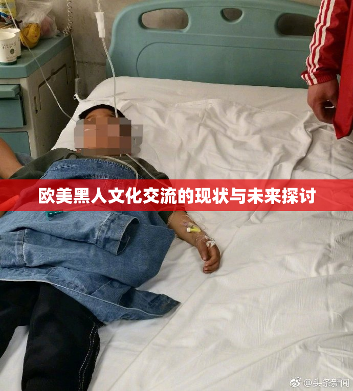 欧美黑人文化交流的现状与未来探讨