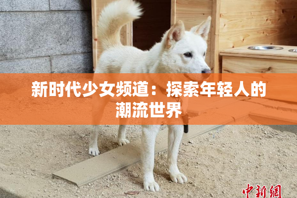 新时代少女频道：探索年轻人的潮流世界