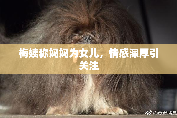 梅姨称妈妈为女儿，情感深厚引关注