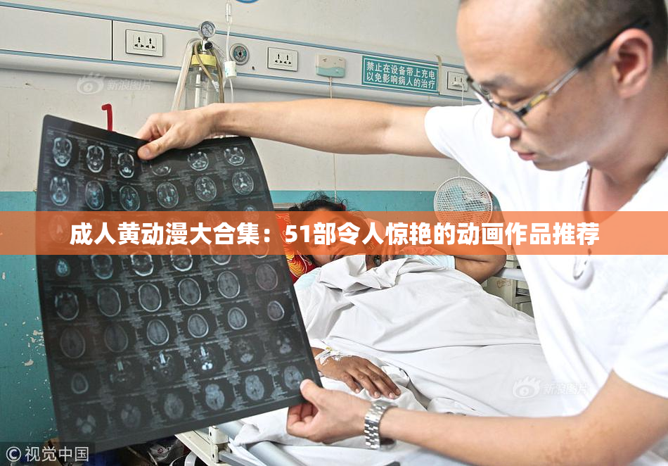 成人黄动漫大合集：51部令人惊艳的动画作品推荐
